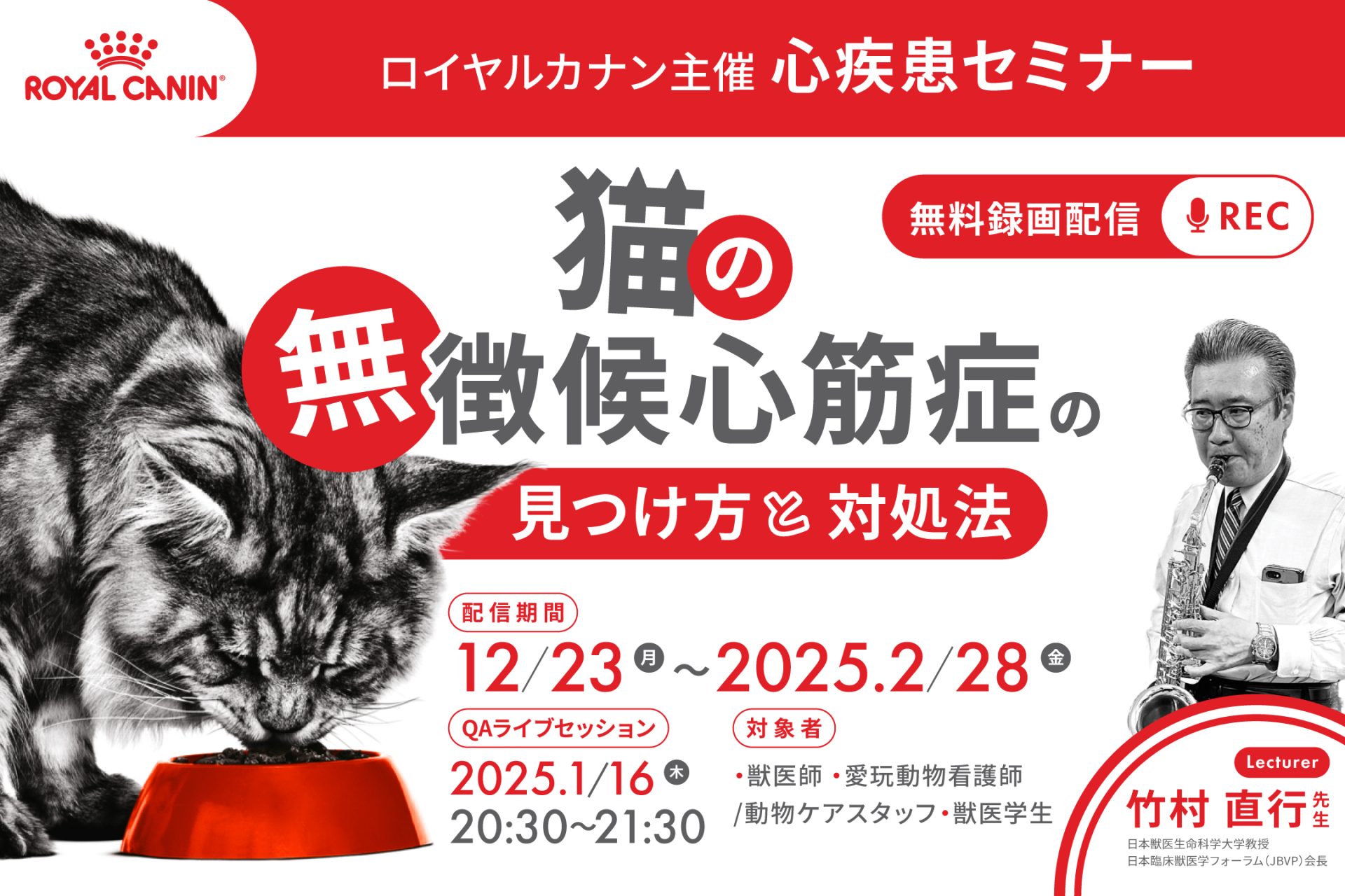 猫の無徴候心筋症の見つけ方と対処法（竹村直行先生） | VETS TECH