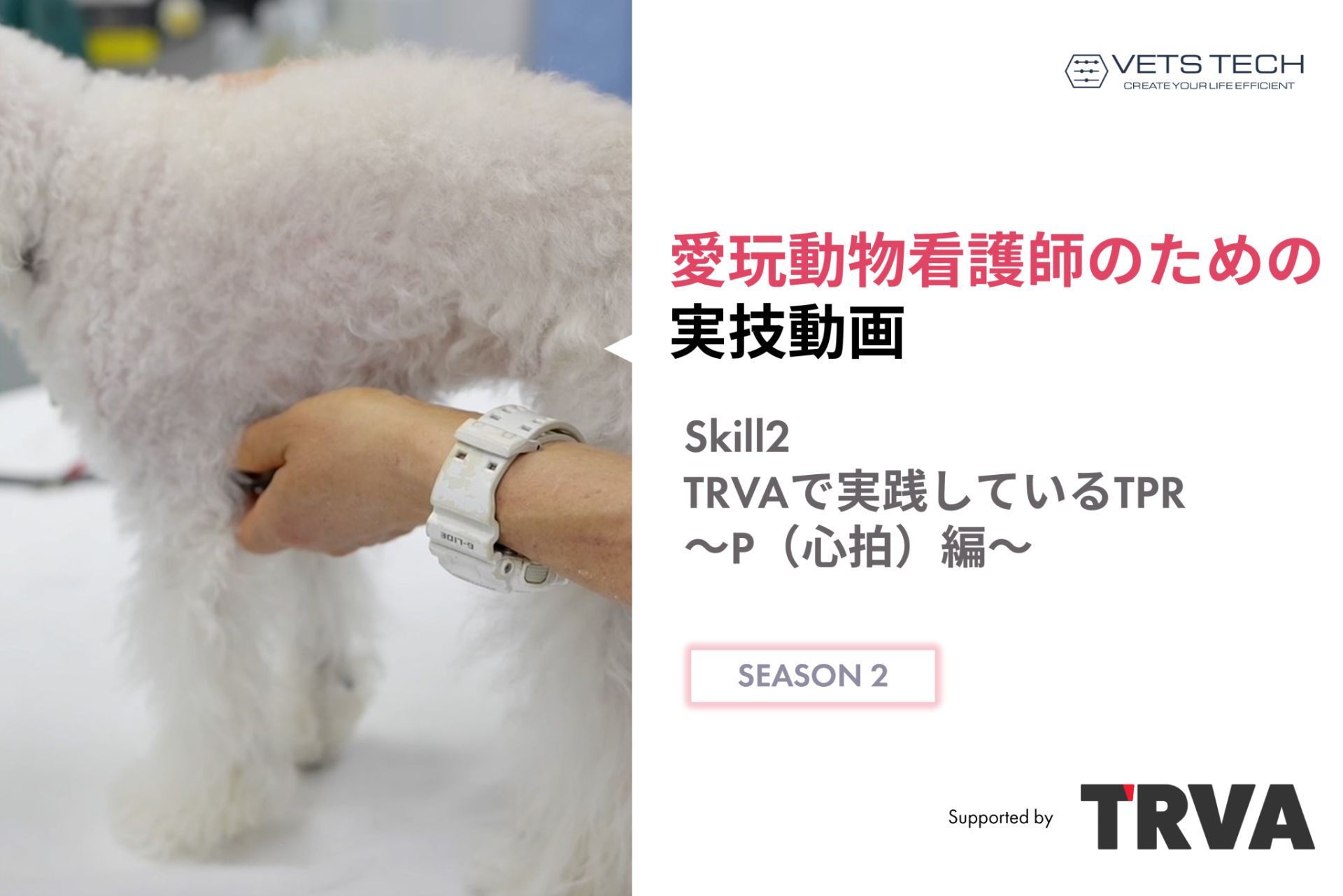 サッとわかる! 犬と猫の尿・糞便検査 獣医師・愛玩動物看護師のための実践ガイド 新刊 サッとわかる犬と猫の尿・糞便検査 獣医師愛玩動物看護師のための