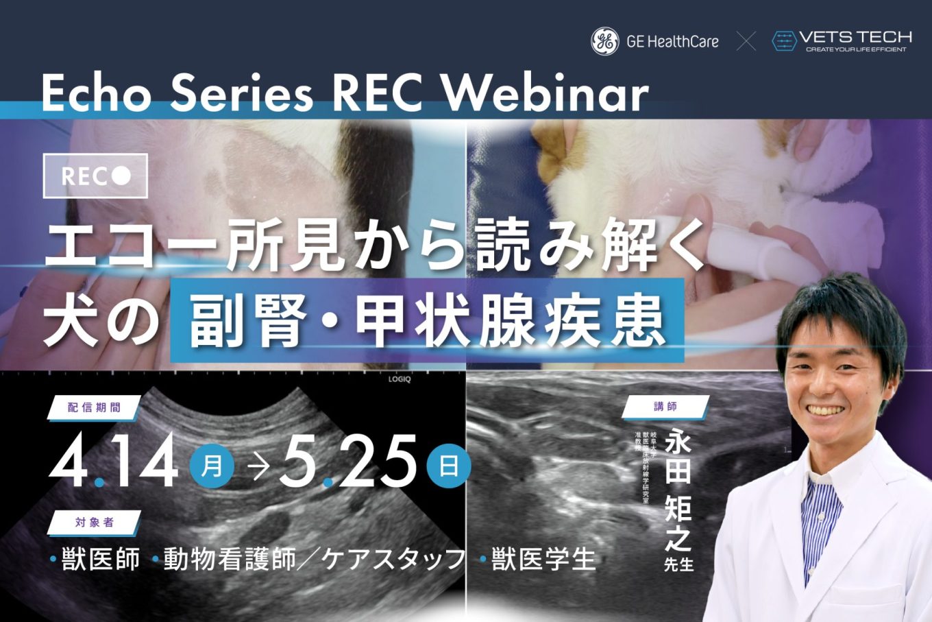 【裁断済み】VETERINARY ONCOLOGY No.43 44 46 47 裁断済み】VETERINARY ONCOLOGY No.43 44 46 47