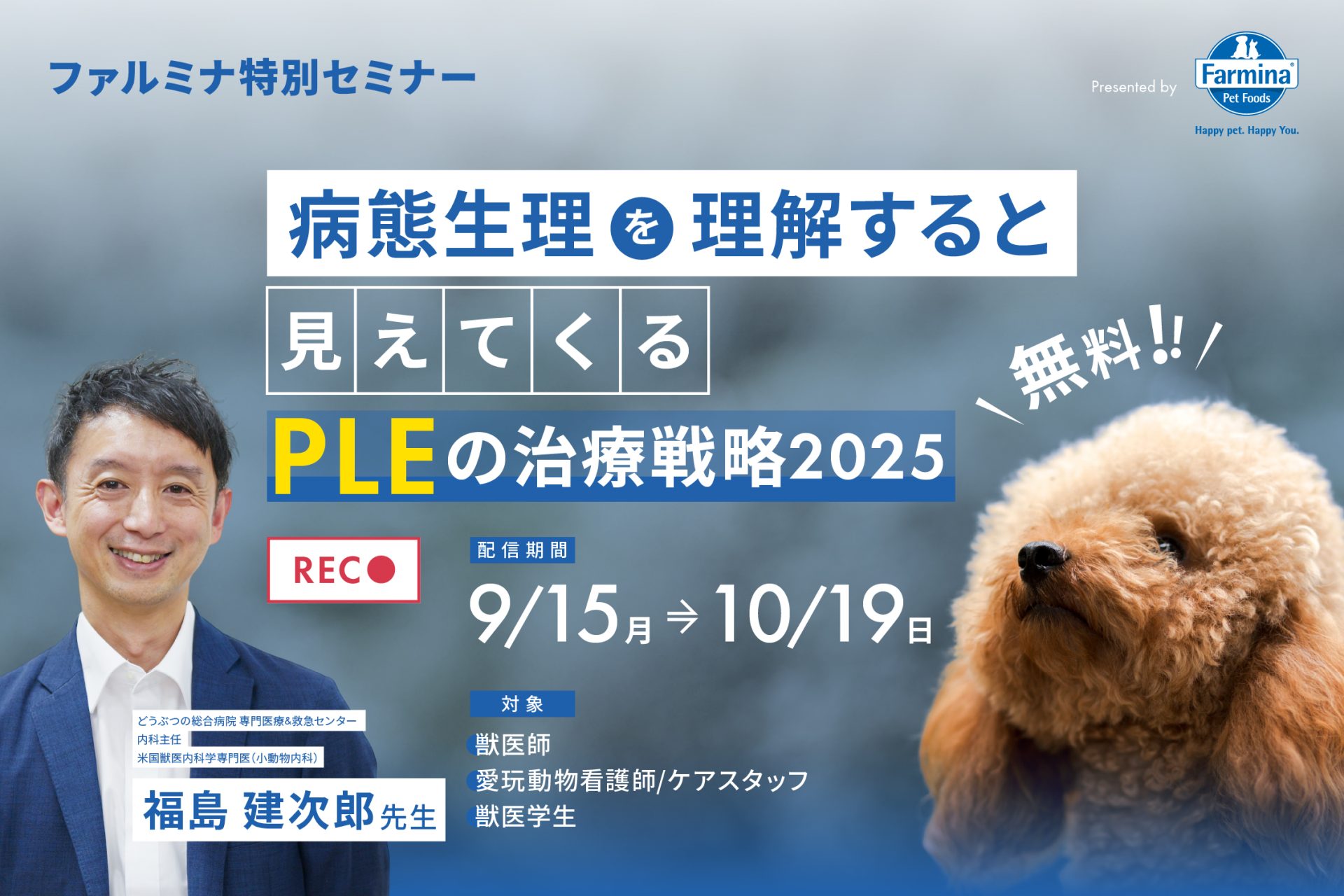 【裁断済み】VETERINARY ONCOLOGY No.43 44 46 47 Amazon.co.jp: VETERINARY ONCOLOGY No.37（2023年1月号）猫の腫瘍別