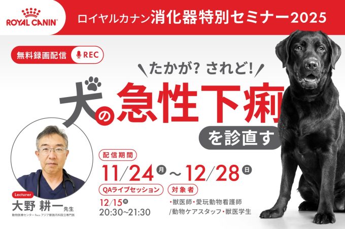【録画】たかが？されど！犬の急性下痢を診直す（大野先生）