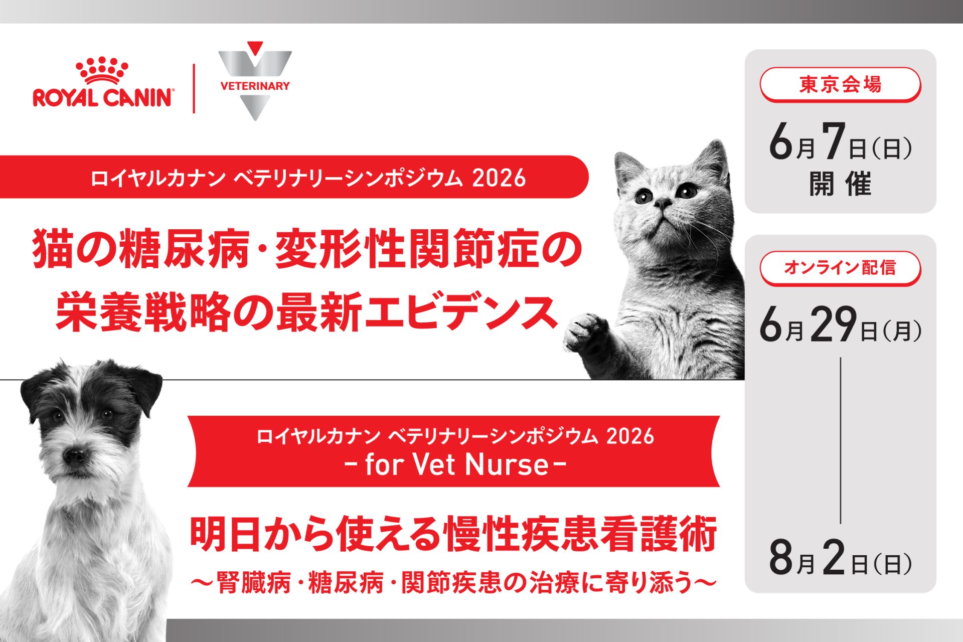 ロイヤルカナン　専用ページ ロイヤルカナン ベテリナリーシンポジウム2026 | VETS TECH