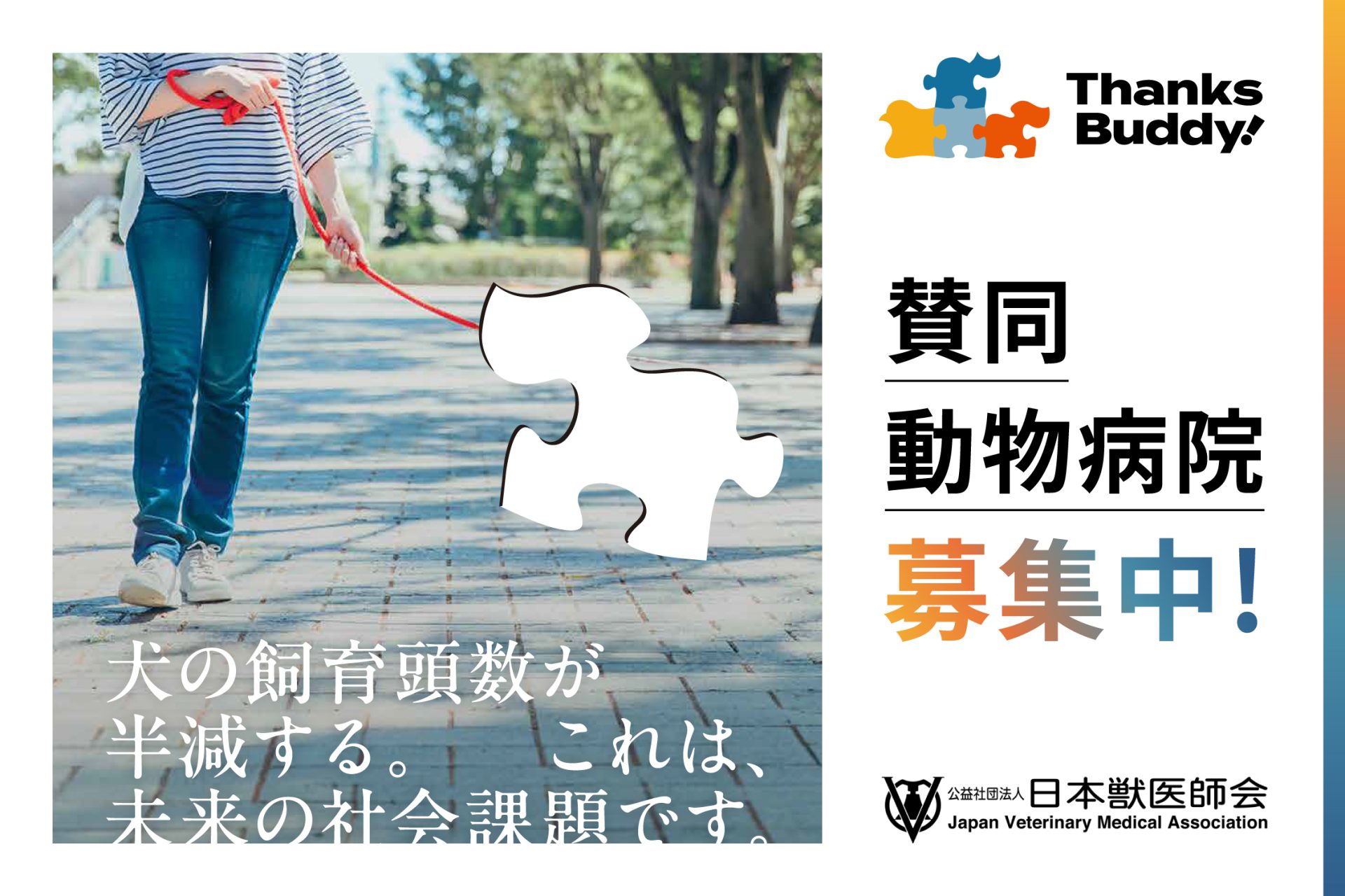 伴侶動物治療指針(Vol．1)／石田卓夫(著者) カテゴリ 【公式通販】