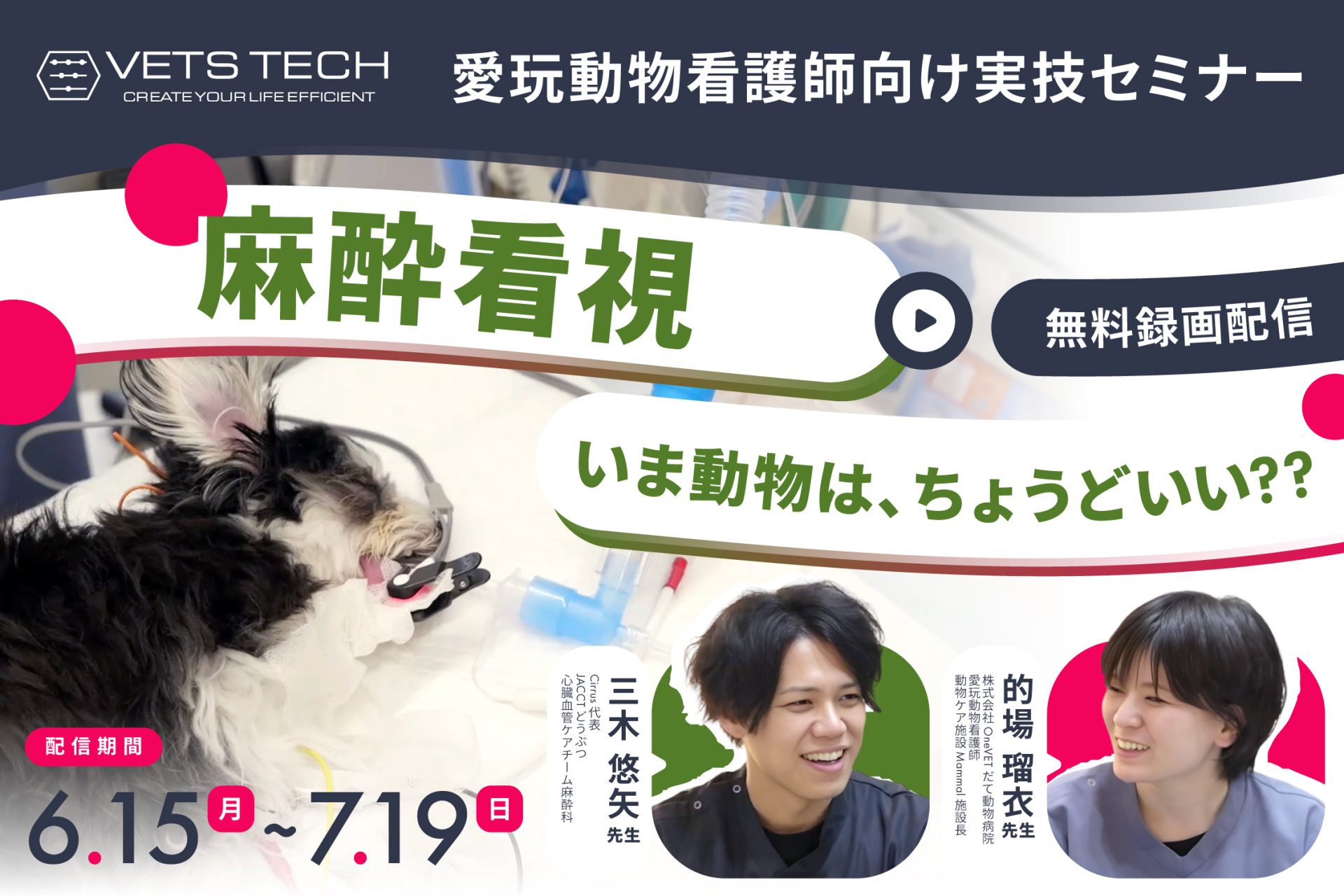 録画】愛玩動物看護師向け実技セミナー：麻酔看視～いま動物は