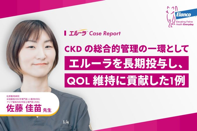 CKDの総合的管理の一環として、エルーラを長期投与しQoL維持に貢献した1例